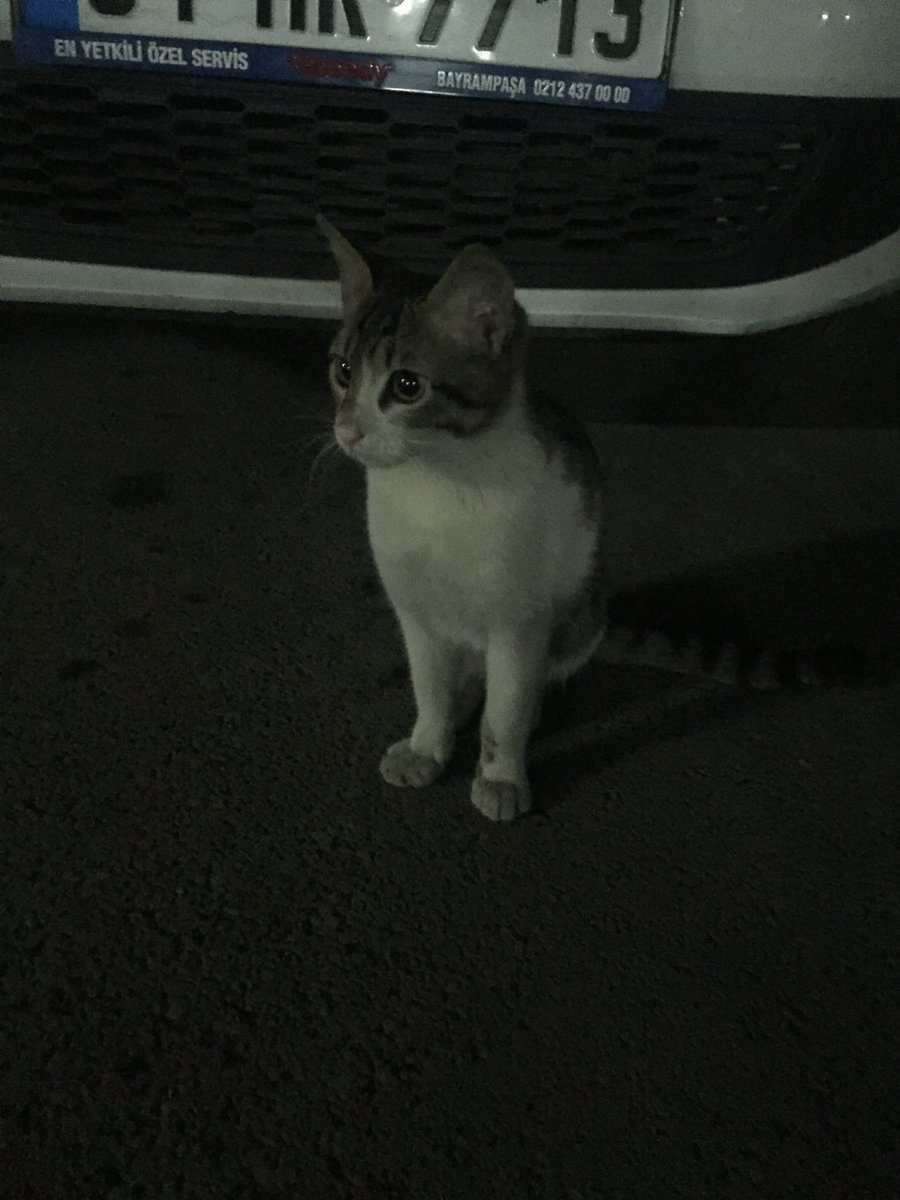 Eros’un ruhu seni rahat bırakmasın 💔ibrahim keloğlan 

#ibrahimkeloğlanTUTUKLANSIN 
#ibrahimkeloğlantutuklansin 
#erosiçinadalet