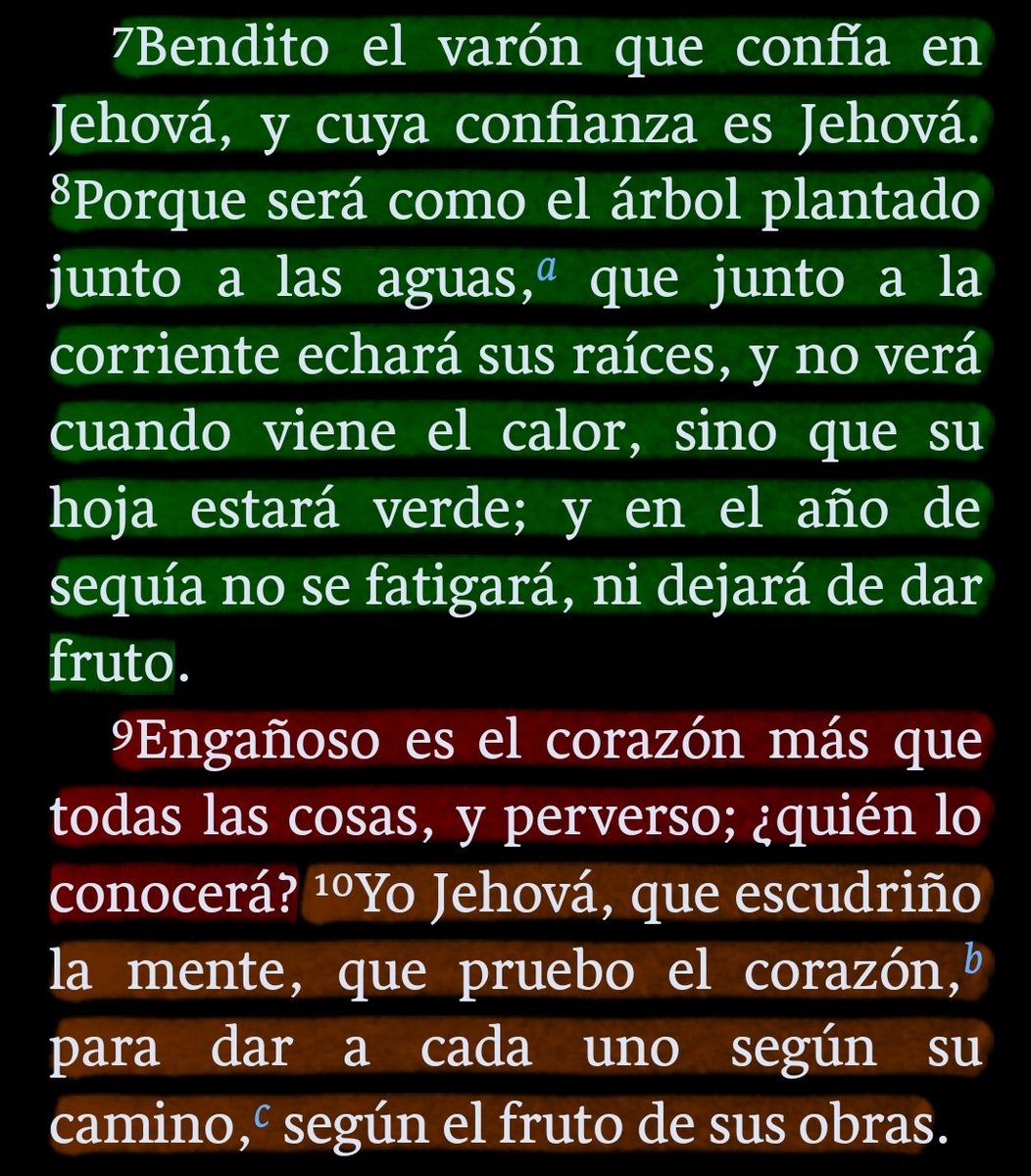 Si hay algo peligroso, ese es el razonamiento humano. En cambio, no actúes guiado por tu conciencia la cual no es perfecta, sino que tu guía sea YHWH ¡confía en Él! #Jeremías17 #PrimeroDios #rpsp