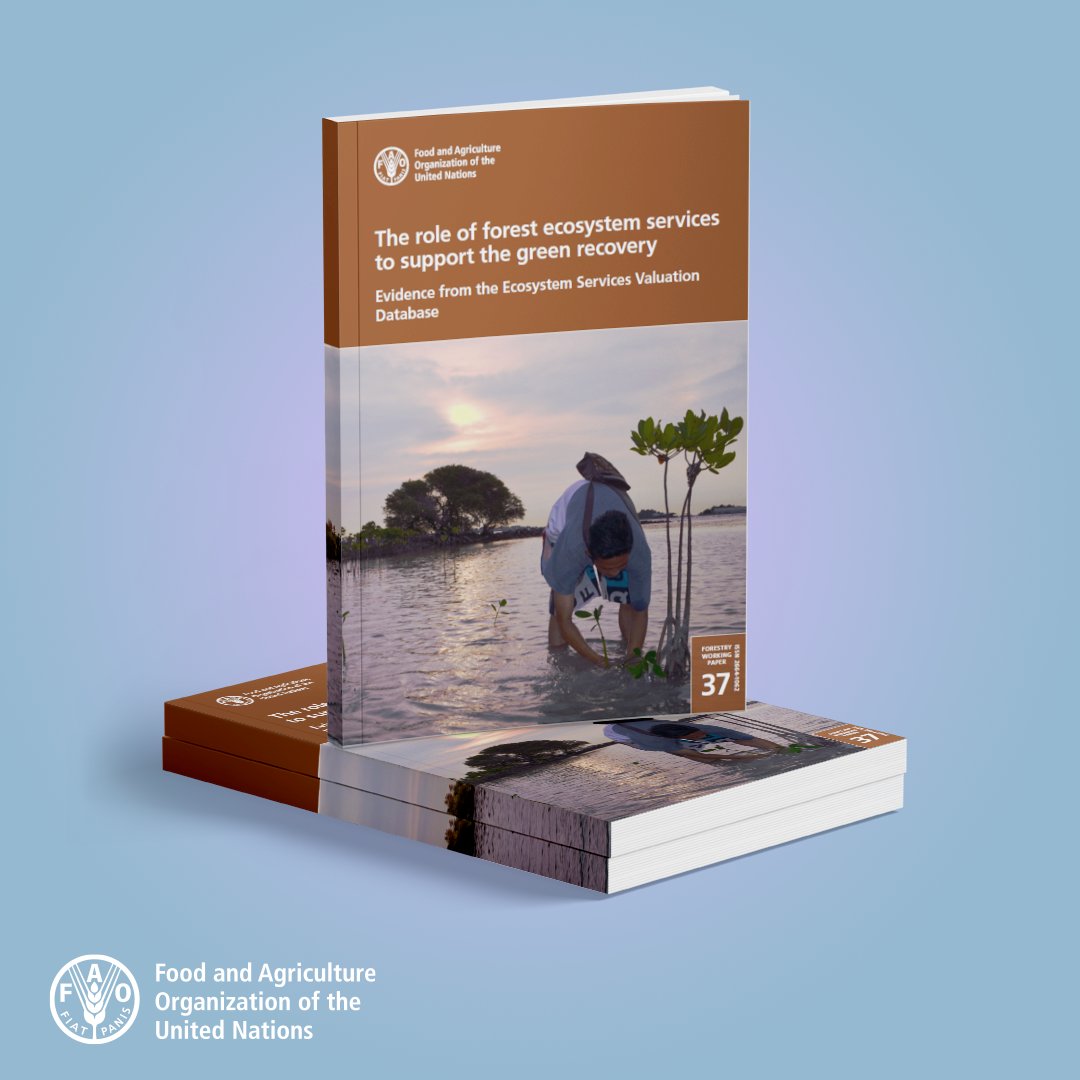 Download a this <a href="/FAO/">Food and Agriculture Organization</a> publication offering an improved understanding of the role of forests in sustainable development

The role of forest ecosystem services to support the green recovery.

👉 bit.ly/3qhc2ve

#SOFO2022