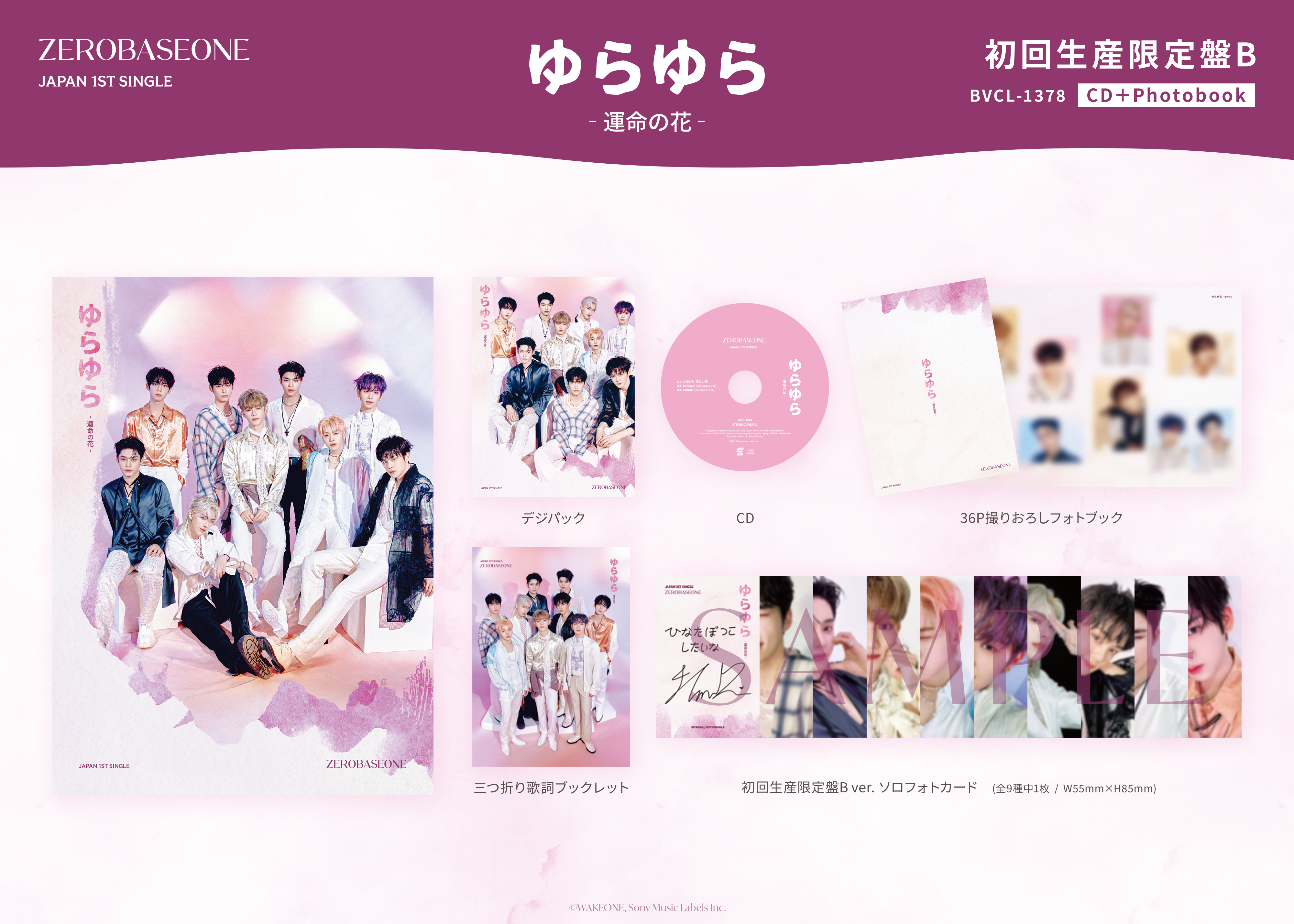 Amazon.co.jp: seimeinoki トレカケース 可愛い 韓国風 2冊入 黒