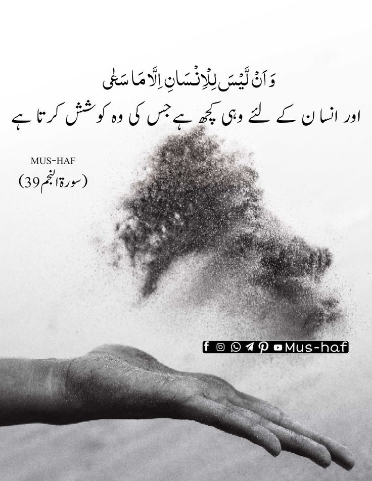 Sirf koshish >><< kamyabi Rab dy ga 💯