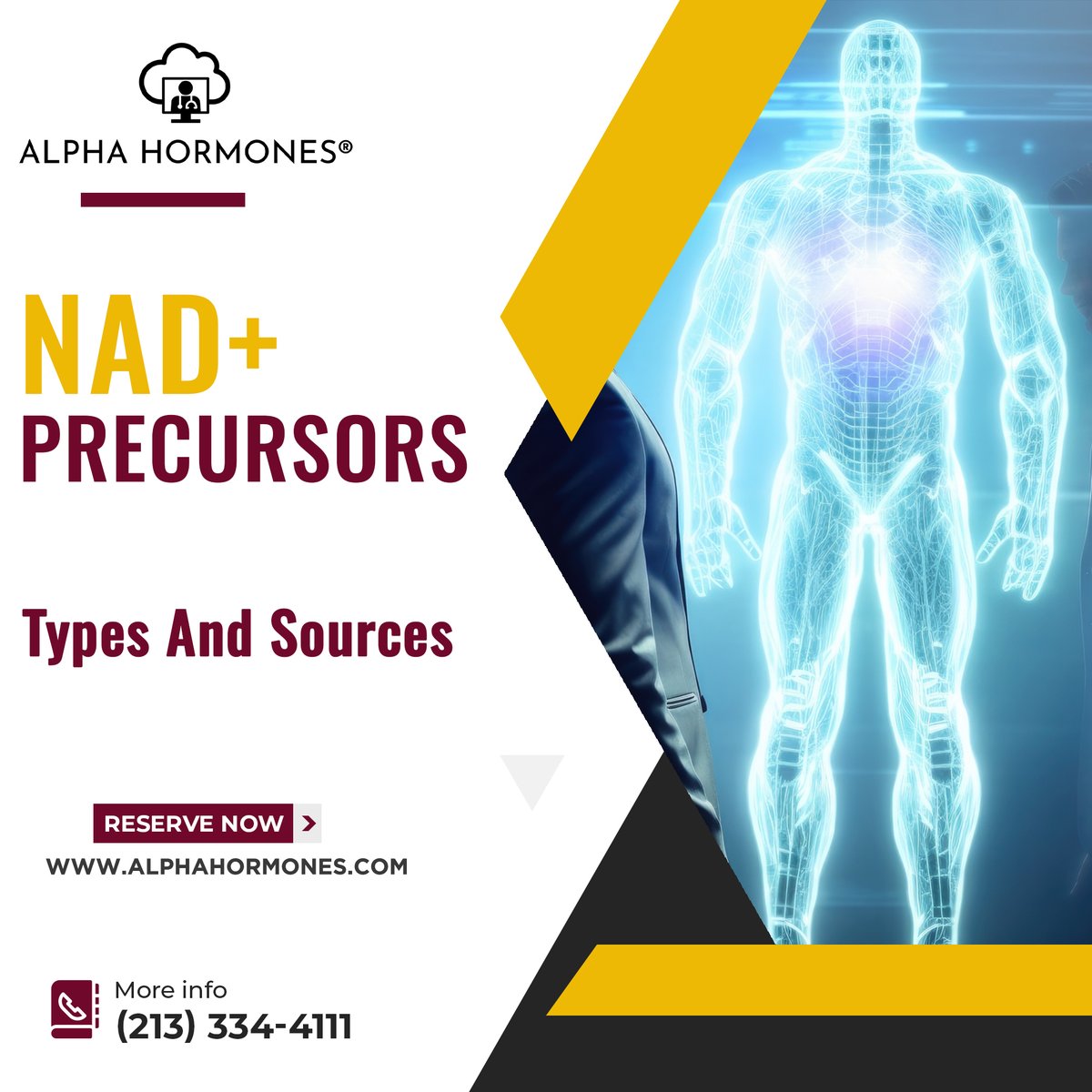AlphaHormones's tweet photo. NAD+ precursors are substances that can be converted into NAD+ in the body, and they play a crucial role in maintaining healthy levels of the coenzyme.
#AlphaHormones #nad #health #ivtherapy #hifi #wellness #biohacking #nrf #stereo #running #music #sony #lifeactivated #denon https://t.co/iZmeKn2kVV