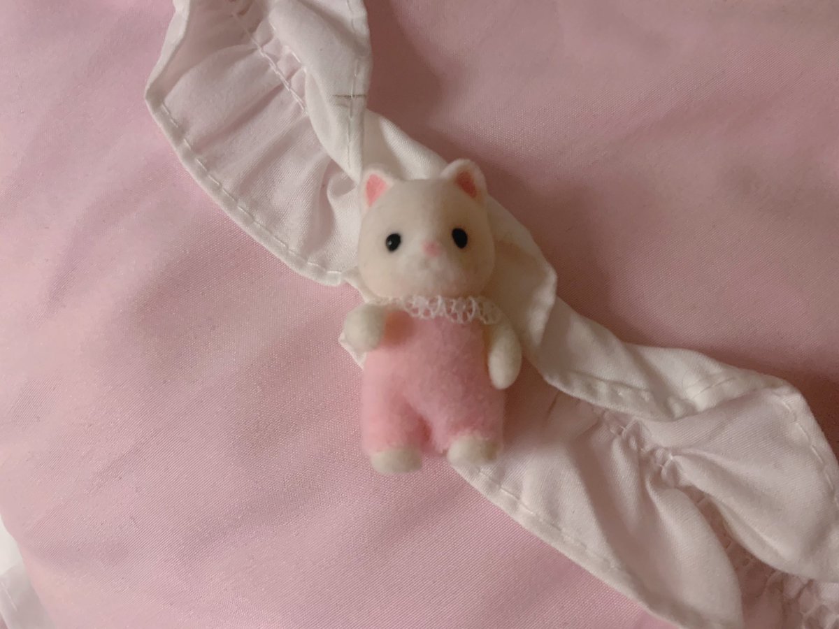 sanri0doll's tweet photo. i love my plushies 🎀🐾 https://t.co/tHmNsP1Bg8