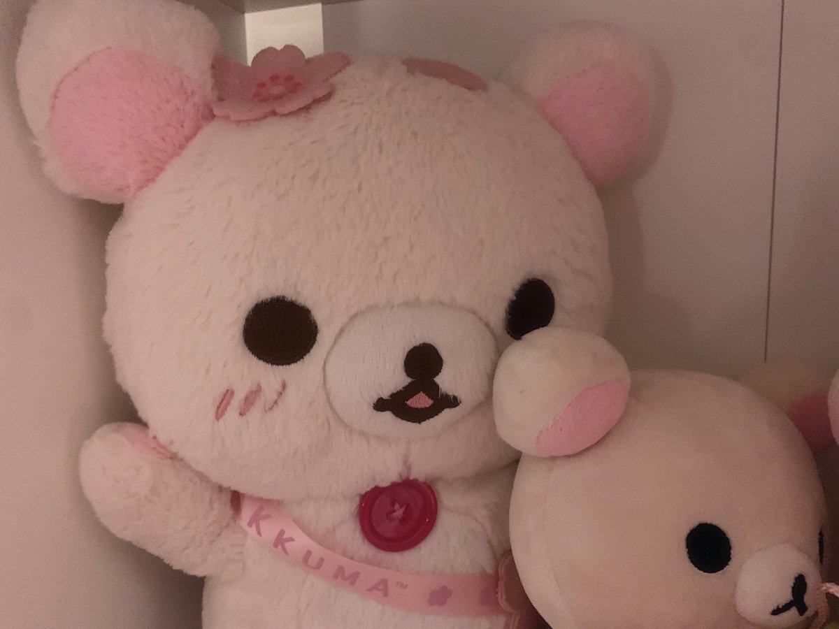 sanri0doll's tweet photo. i love my plushies 🎀🐾 https://t.co/tHmNsP1Bg8
