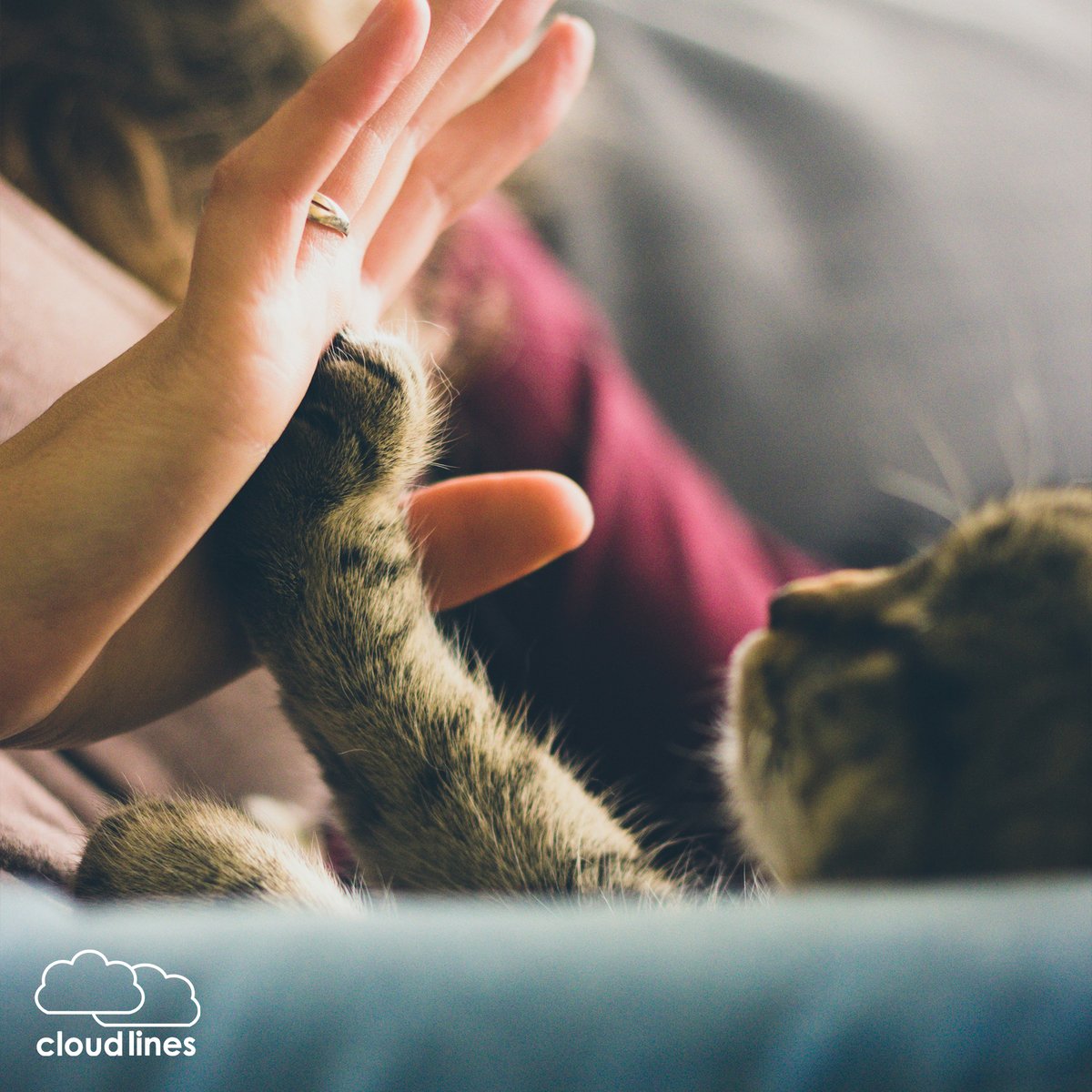 💚 Cloud Lines is built on the most modern IT architecture, and aims to deliver superior service at reduced cost. 

💚 The cloud-based platform which hosts #CloudLines can boast of 99.9% uptime and 99.9999% data durability. 

Now, that's something to love this #Valentines 🫶