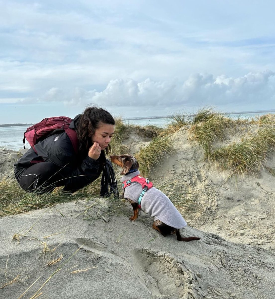 Ethan Taylor tweet media