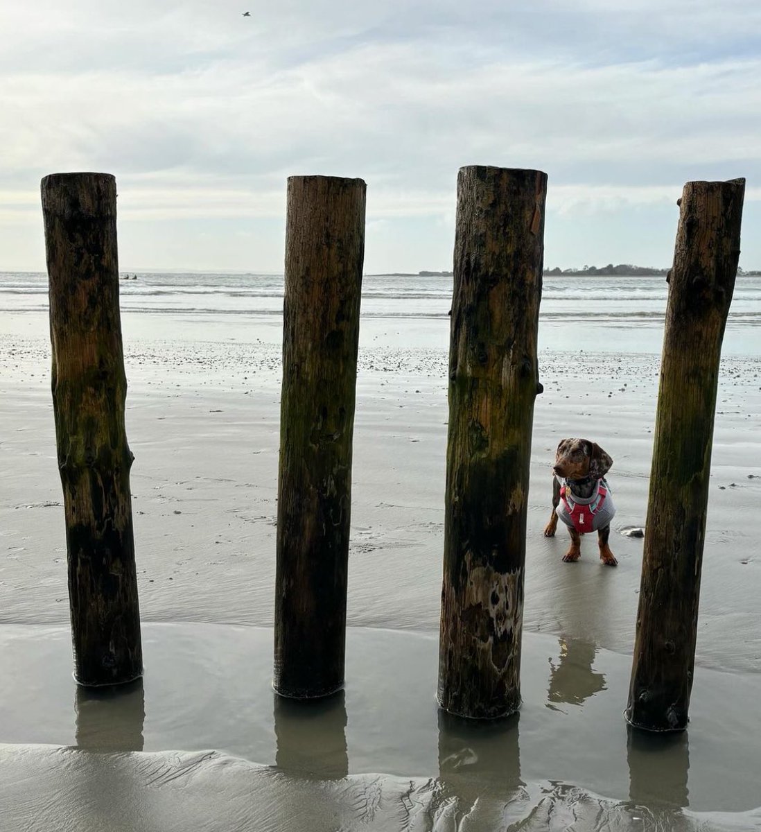 Saw no Romans ⏳ @ Romans Landing