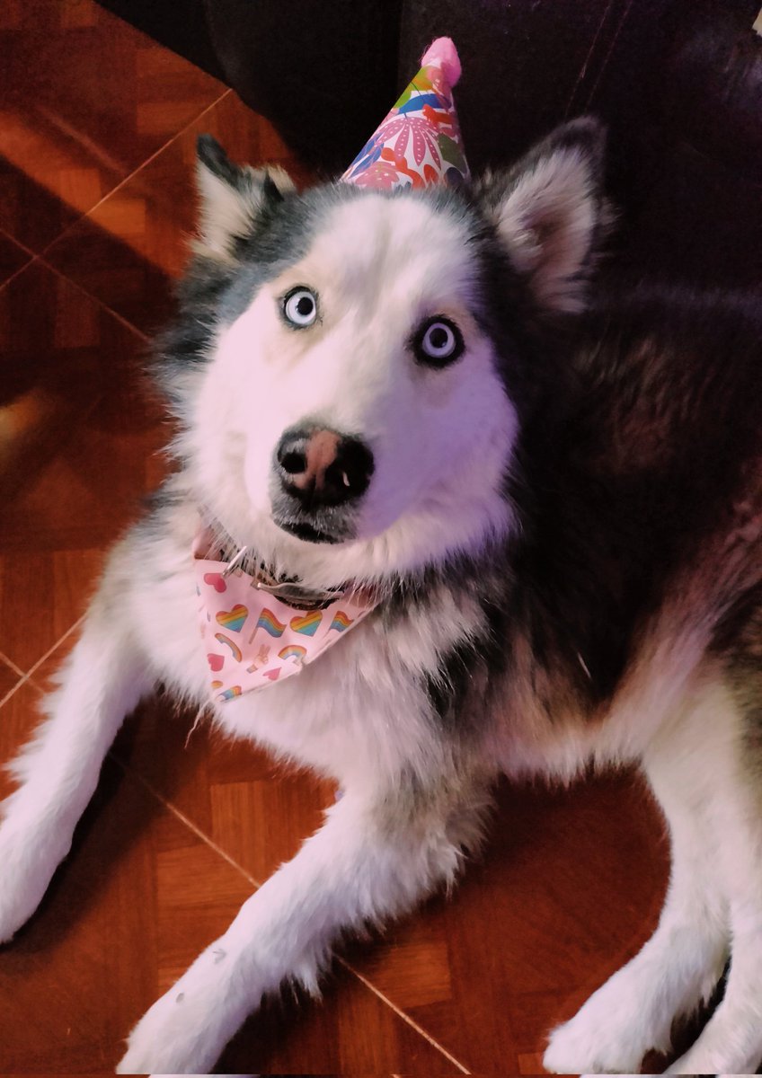 VerhoOVeritho's tweet photo. ¡Hoy cumples dos años que estás a mi lado! 🫶🏻❤️‍🩹 https://t.co/EkR5cF3v7y
