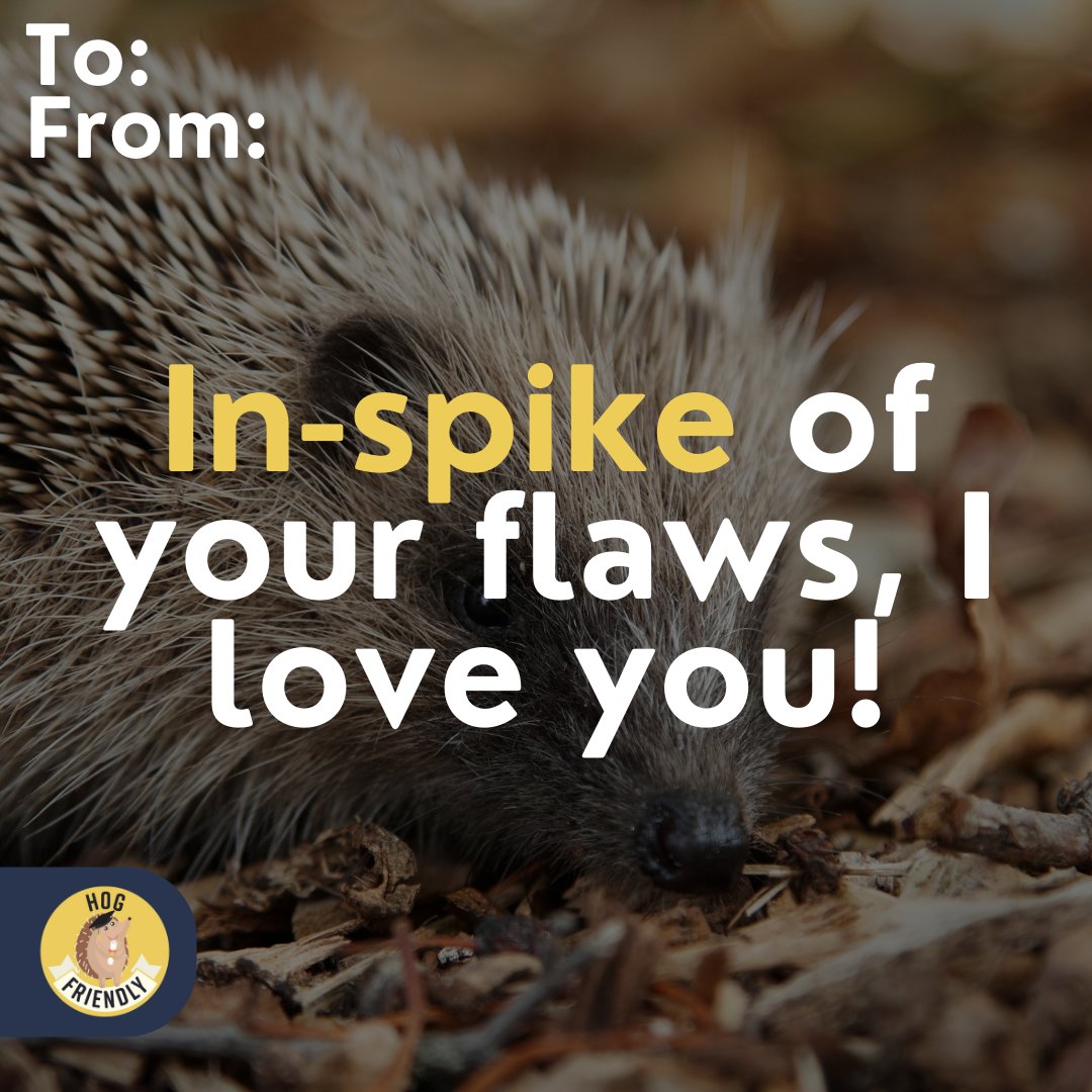 Hedgehog Friendly Campus tweet media