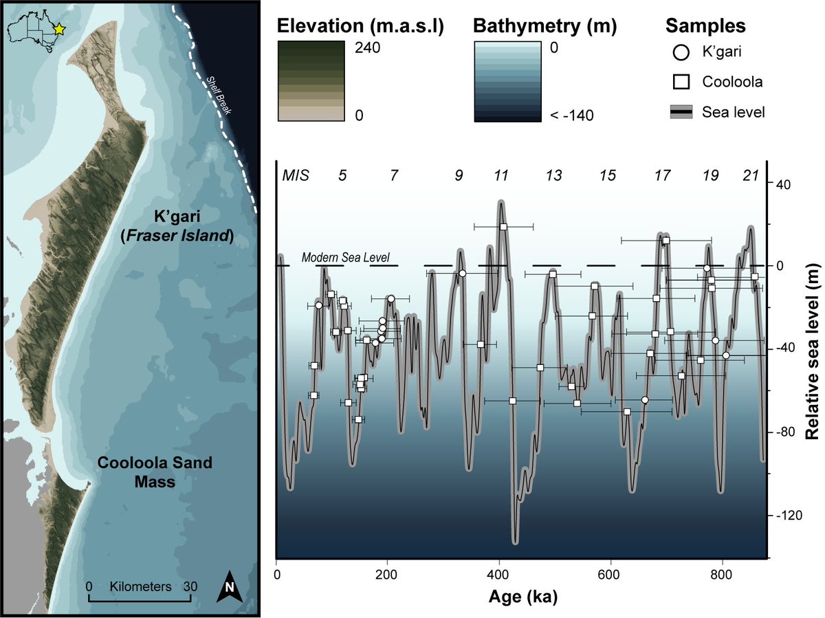 Nicholas R. Patton tweet media