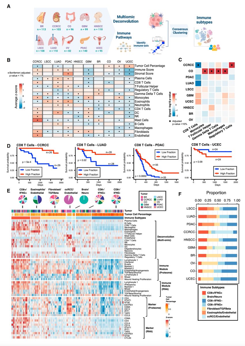 The most comprehensive multi-omic assessment of tumor immunity to date across 10 cancers from &gt;1,000 patients (-&gt; 7 subtypes), to help guide better immunotherapy success in the future
cell.com/cell/fulltext/… <a href="/CellCellPress/">Cell</a> <a href="/PeiMSSM2016/">Pei Wang</a> <a href="/IcahnInstitute/">Icahn Genomics Institute</a> <a href="/petra_fra/">Francesca Petralia</a> <a href="/SinaiGenetics/">Mount Sinai Genetics</a>