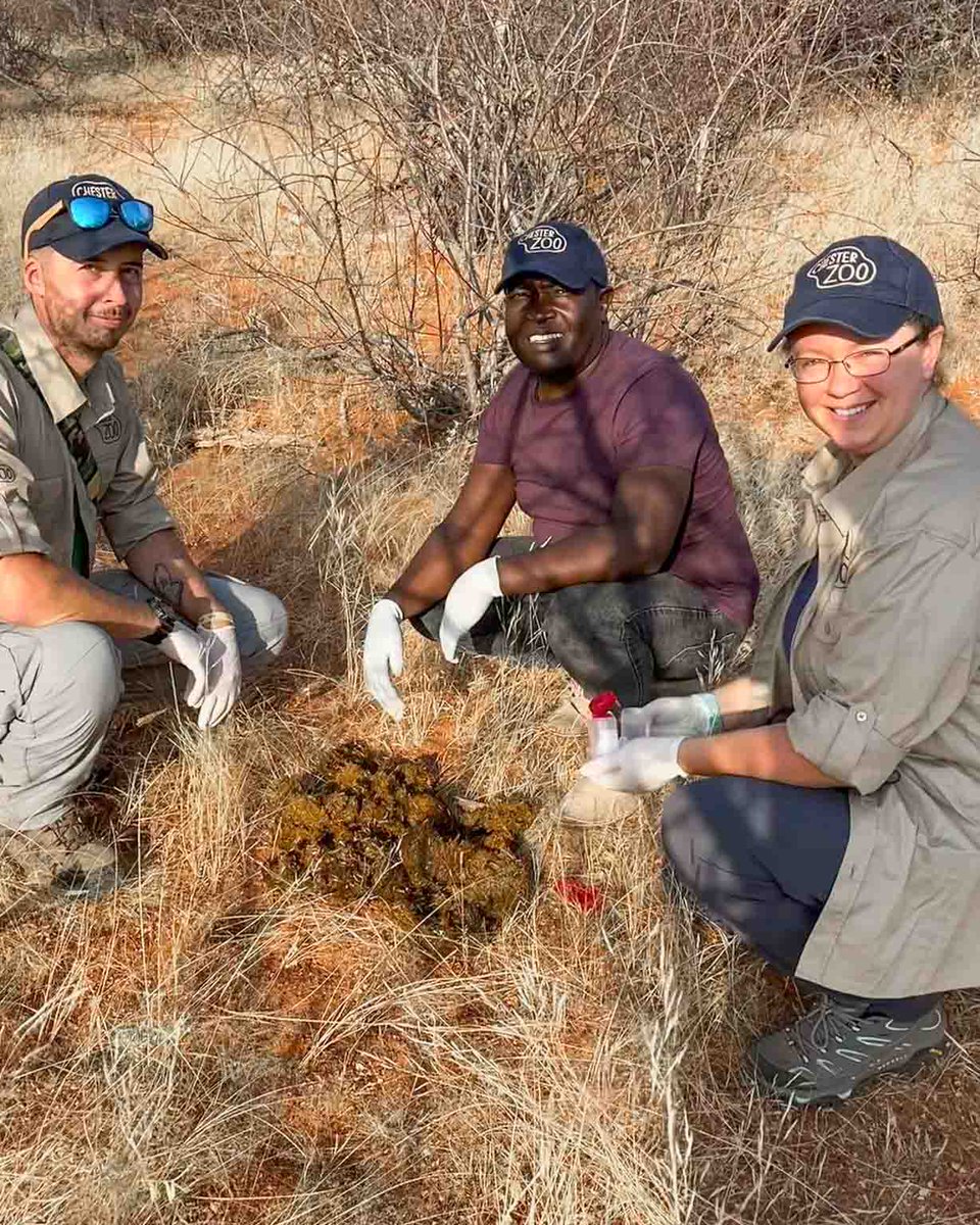 Chester Zoo tweet media