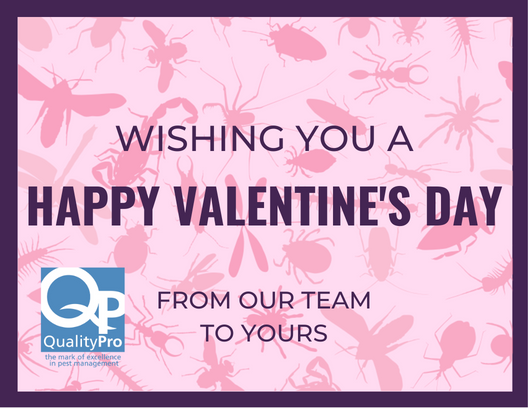 Happy Valentine's Day from our team to yours!