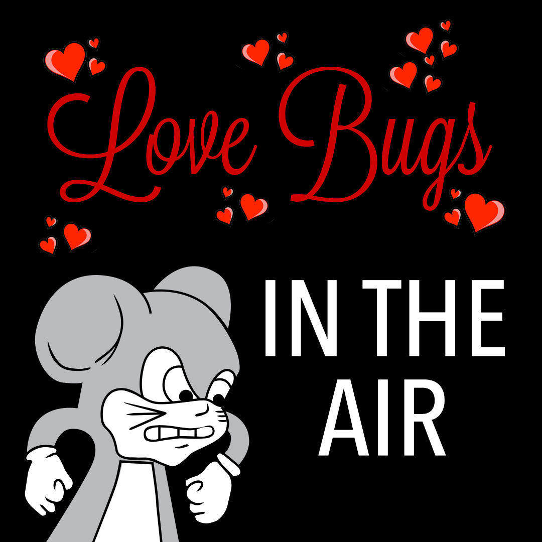Love (BUGS) in the air... Wait, that doesn’t sound right? Because it’s not!  

But while we have you here, learn more about (love) bugs &amp; how you can keep them away by checking out our resource guides: ow.ly/FS1050QAMMO  

#NorthwestExterminating #ValentinesDay #PestControl