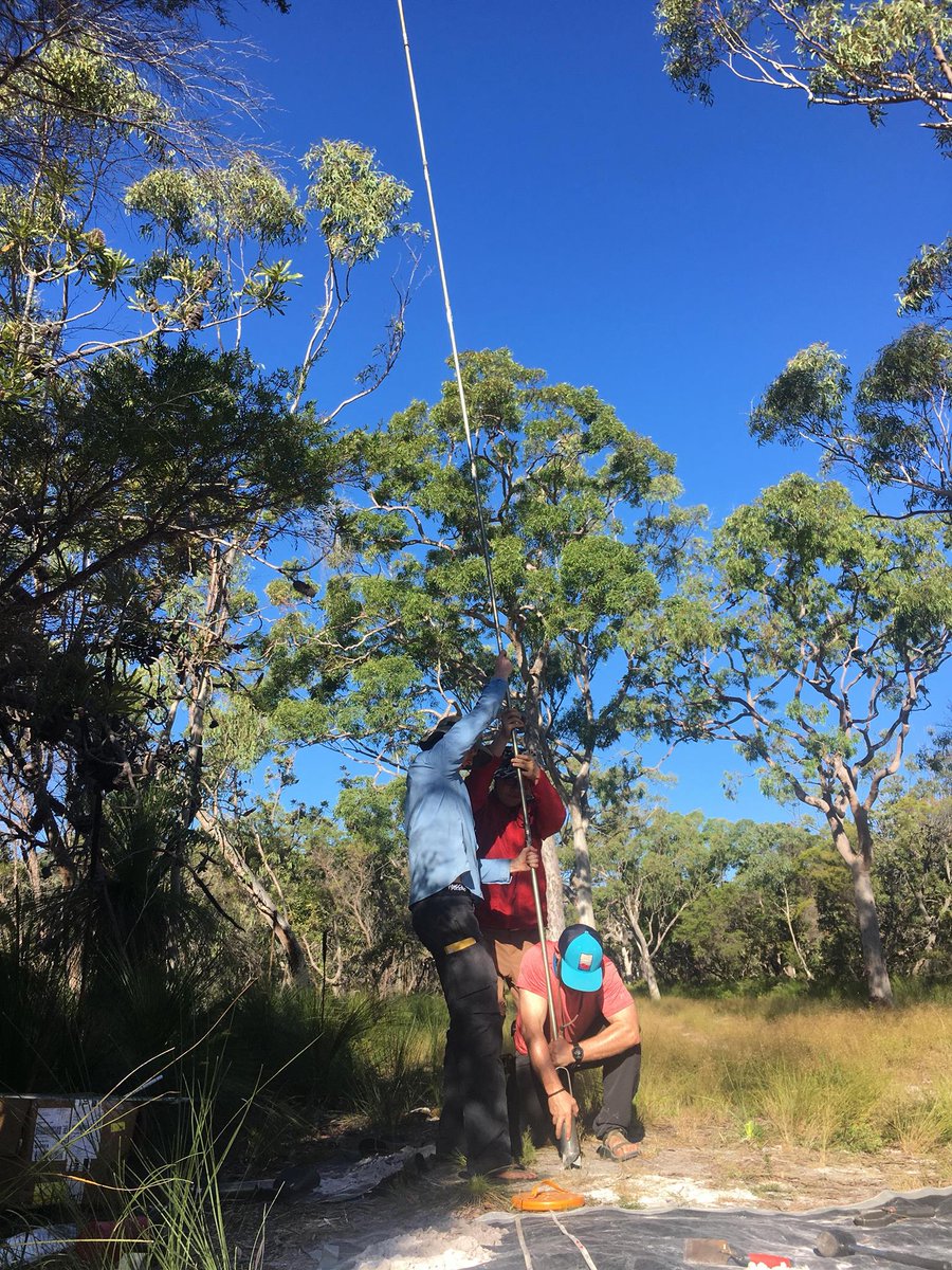 Nicholas R. Patton tweet media