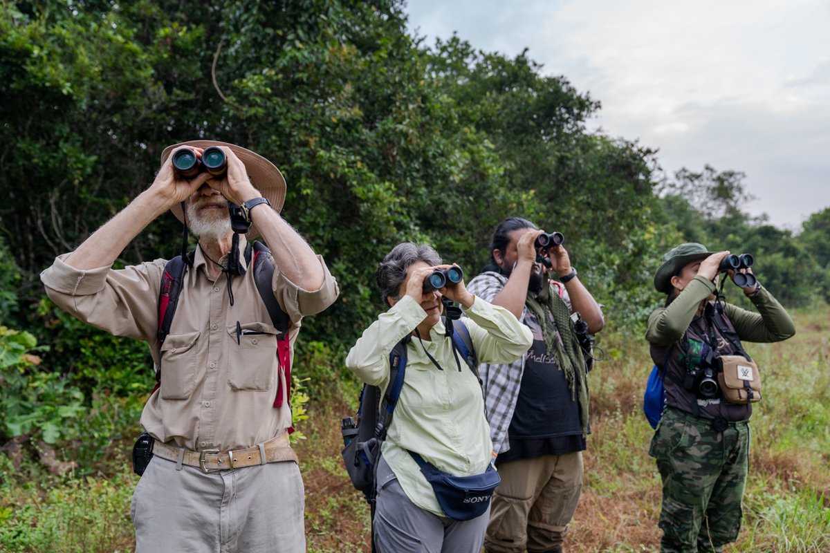 LuisBCano1's tweet photo. Fotos del Christmas Bird Count para @audubonsociety #AudubonCBC #Colombia #birdphotography https://t.co/ENxcmlZp1B