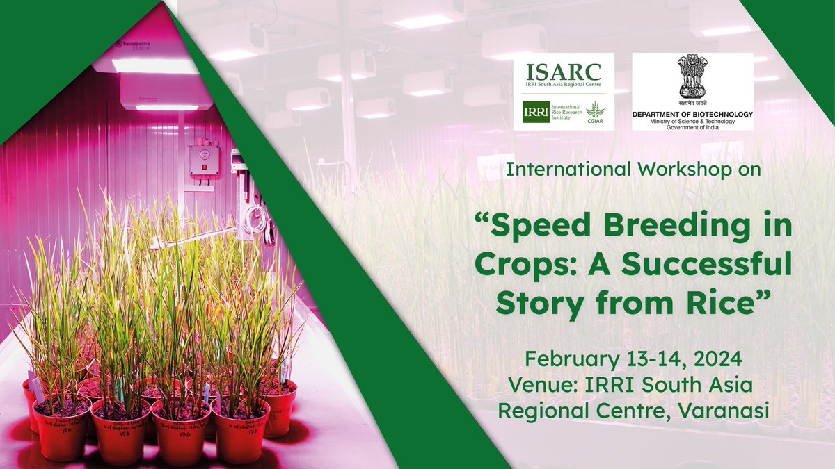 Pramod G. Kabade, PhD (@pramod_irrice) on Twitter photo Successfully concluded
International Workshop on " #Speedbreeding in Crops: A Success story from #Rice" at <a href="/irri/">IRRI 🌾</a> South Asia Regional Centre (<a href="/isarcofficial/">IRRI South Asia Regional Centre (ISARC)</a>). Special thanks to <a href="/DBTIndia/">Department of Biotechnology</a> and <a href="/rajesh_gokhale/">Rajesh Gokhale</a>
<a href="/vikasirri/">Vikas Kumar Singh 🌾</a>, <a href="/UmaMaheshwarSi1/">Uma Maheshwar Singh</a>, and <a href="/PallaviS_IRRI/">Pallavi Sinha</a> <a href="/icarindia/">Indian Council of Agricultural Research.</a> <a href="/CGIAR/">CGIAR</a> . Successfully concluded
International Workshop on " #Speedbreeding in Crops: A Success story from #Rice" at <a href="/irri/">IRRI 🌾</a> South Asia Regional Centre (<a href="/isarcofficial/">IRRI South Asia Regional Centre (ISARC)</a>). Special thanks to <a href="/DBTIndia/">Department of Biotechnology</a> and <a href="/rajesh_gokhale/">Rajesh Gokhale</a>
<a href="/vikasirri/">Vikas Kumar Singh 🌾</a>, <a href="/UmaMaheshwarSi1/">Uma Maheshwar Singh</a>, and <a href="/PallaviS_IRRI/">Pallavi Sinha</a> <a href="/icarindia/">Indian Council of Agricultural Research.</a> <a href="/CGIAR/">CGIAR</a> .