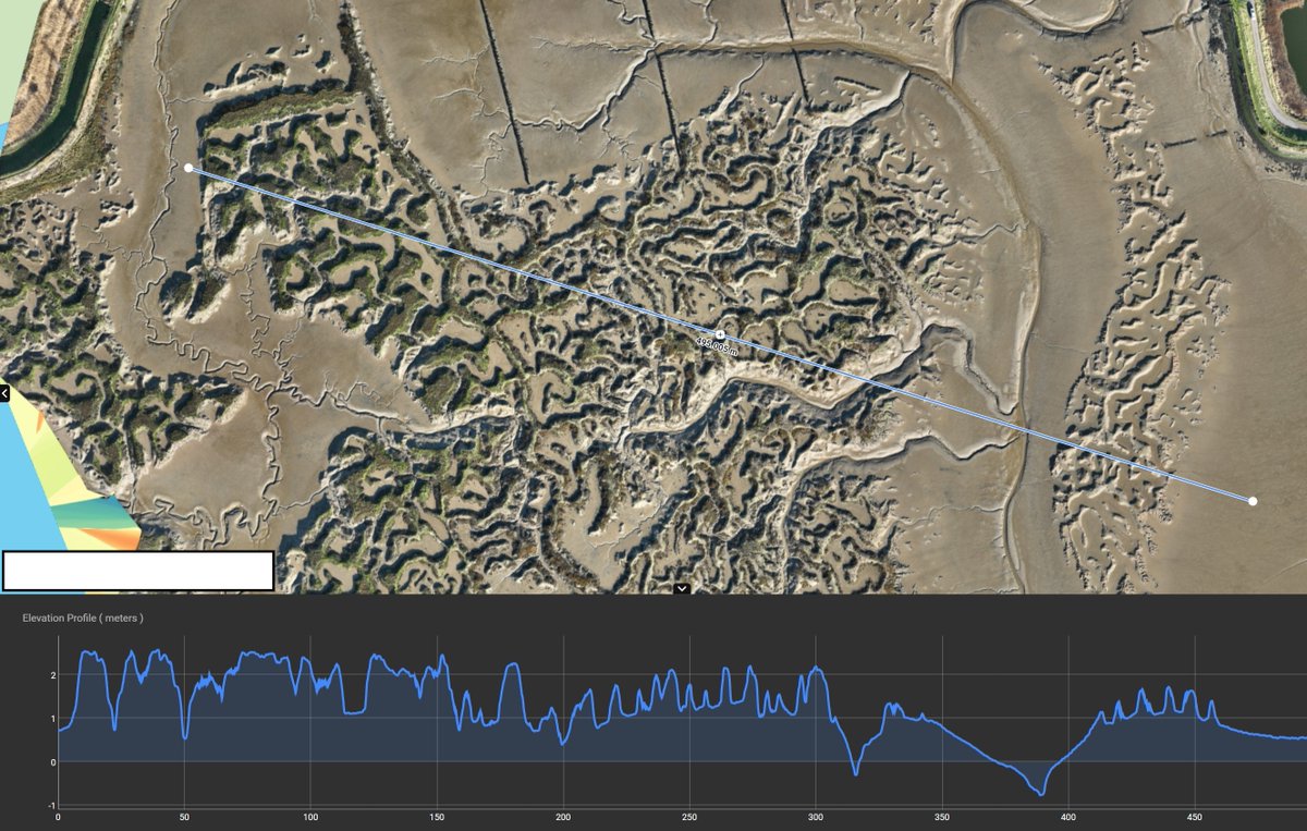 600mm difference between the vegetated marsh on the left and the bare - once marsh on the right.