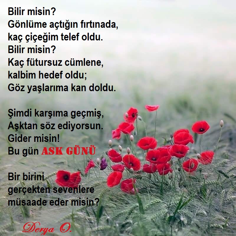 oya_derya's tweet photo. Bir birini gerçekten sevenler; Müsaade sizin...
Çünkü bu gün #AşkGünü  #Şiir 

Yaşamınızdan #Aşk,
Gölünüzden #Sevgi eksik olmasın dilerim.
Hepinize içtenlikle #Selam ederim...
Derya O. https://t.co/7xmhI0VlFf