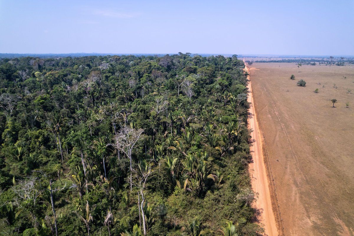 ‘Unprecedented’ stress in up to half of the Amazon may lead to tipping point by 2050 | @orladwyer_ w/ comment from @BernardoMflores @DavidLapola @patipinho10 and @DomSpracklen Read here: bit.ly/3T8Aw5z