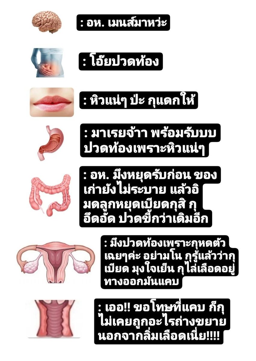 ส่วนนี่ คือข้อความจากร่างกายตอนเป็นเมนส์ 🥹