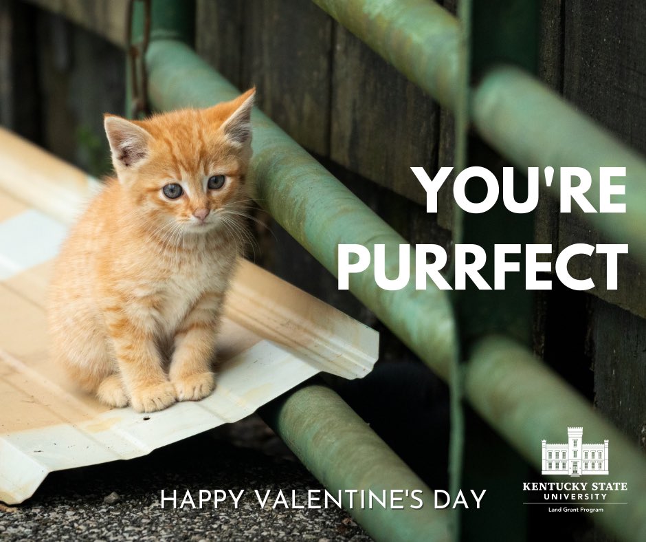 Happy Valentine’s Day, y’all!