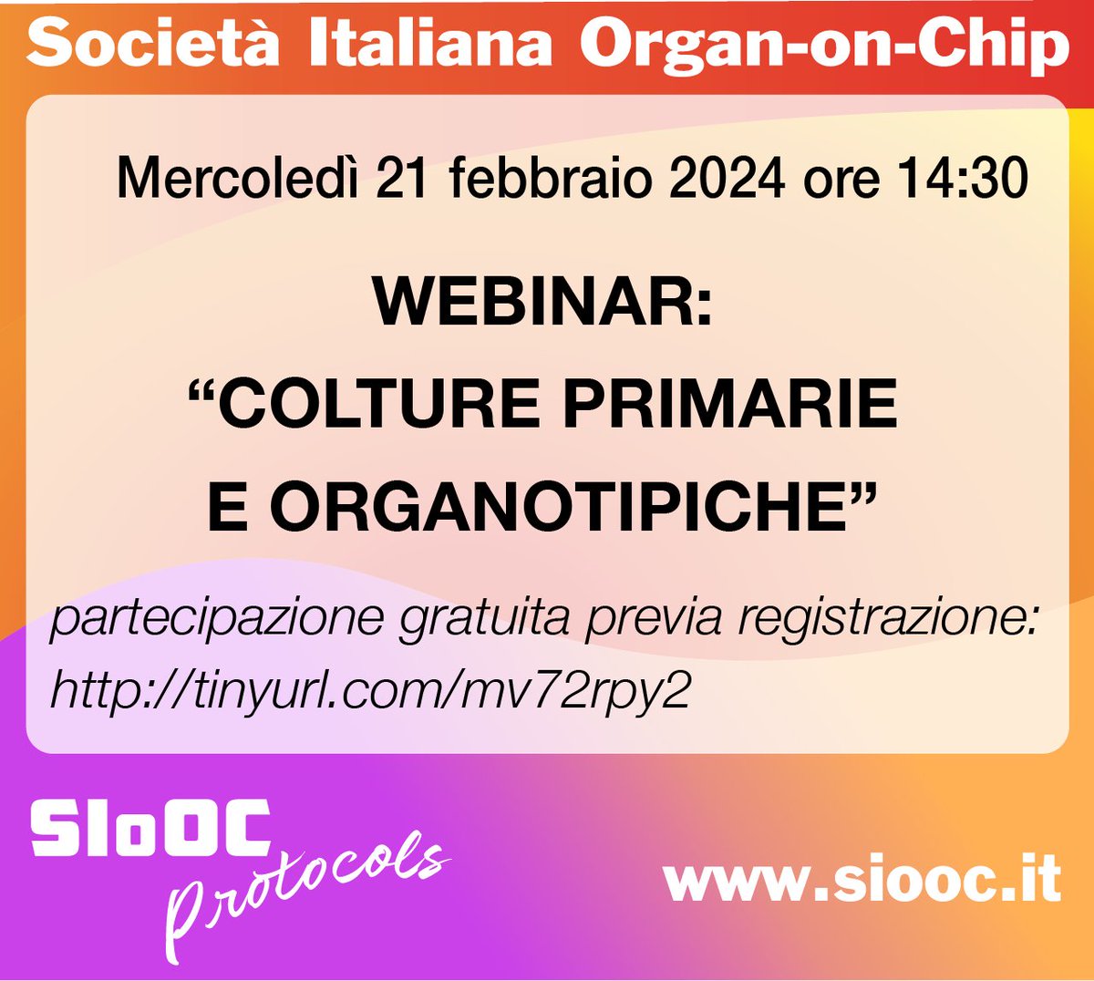 Alberto Rainer (@albertorainer) on Twitter photo Primo appuntamento del ciclo di webinar #siooc #protocols. Registrazioni al link tinyurl.com/mv72rpy2 <a href="/SIOoC_IT/">Società Italiana Organ-on-Chip</a> Primo appuntamento del ciclo di webinar #siooc #protocols. Registrazioni al link tinyurl.com/mv72rpy2 <a href="/SIOoC_IT/">Società Italiana Organ-on-Chip</a>
