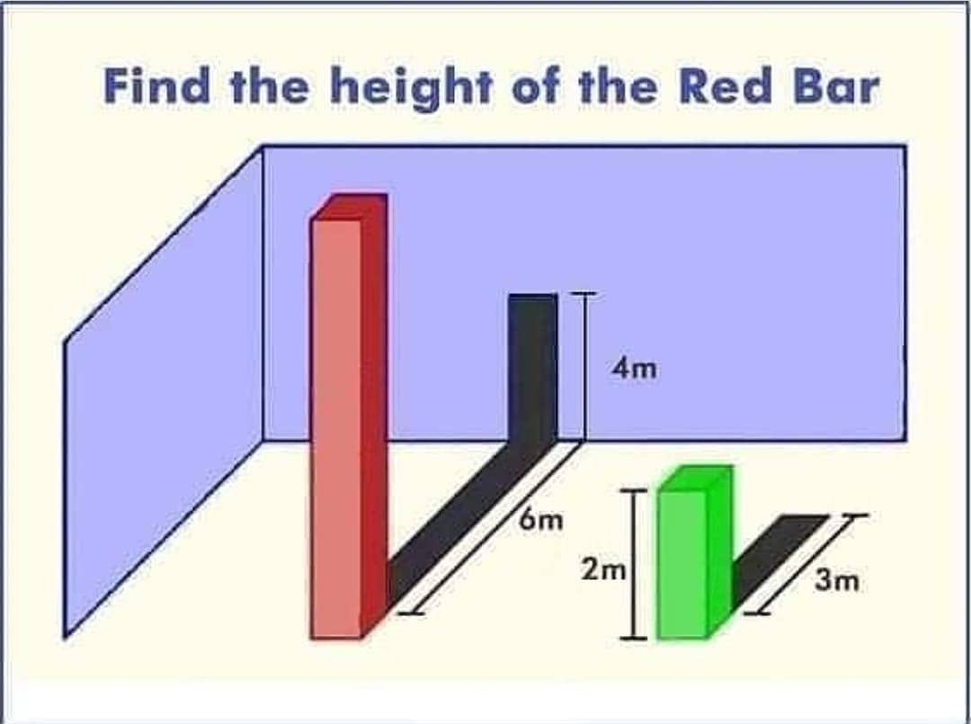 What do you think? 🤔