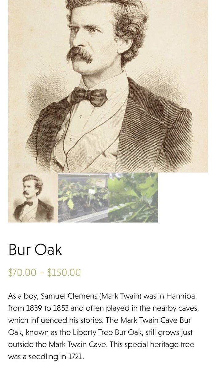 McClellandShane's tweet image. Just discovered a website where you can buy trees from the properties of historical people.

Like Washington, Mark Twain, Thoreau, and SPACE?! (And a bunch of others)

I desperately need like hundreds of acres and probably several million dollars for plants 😂