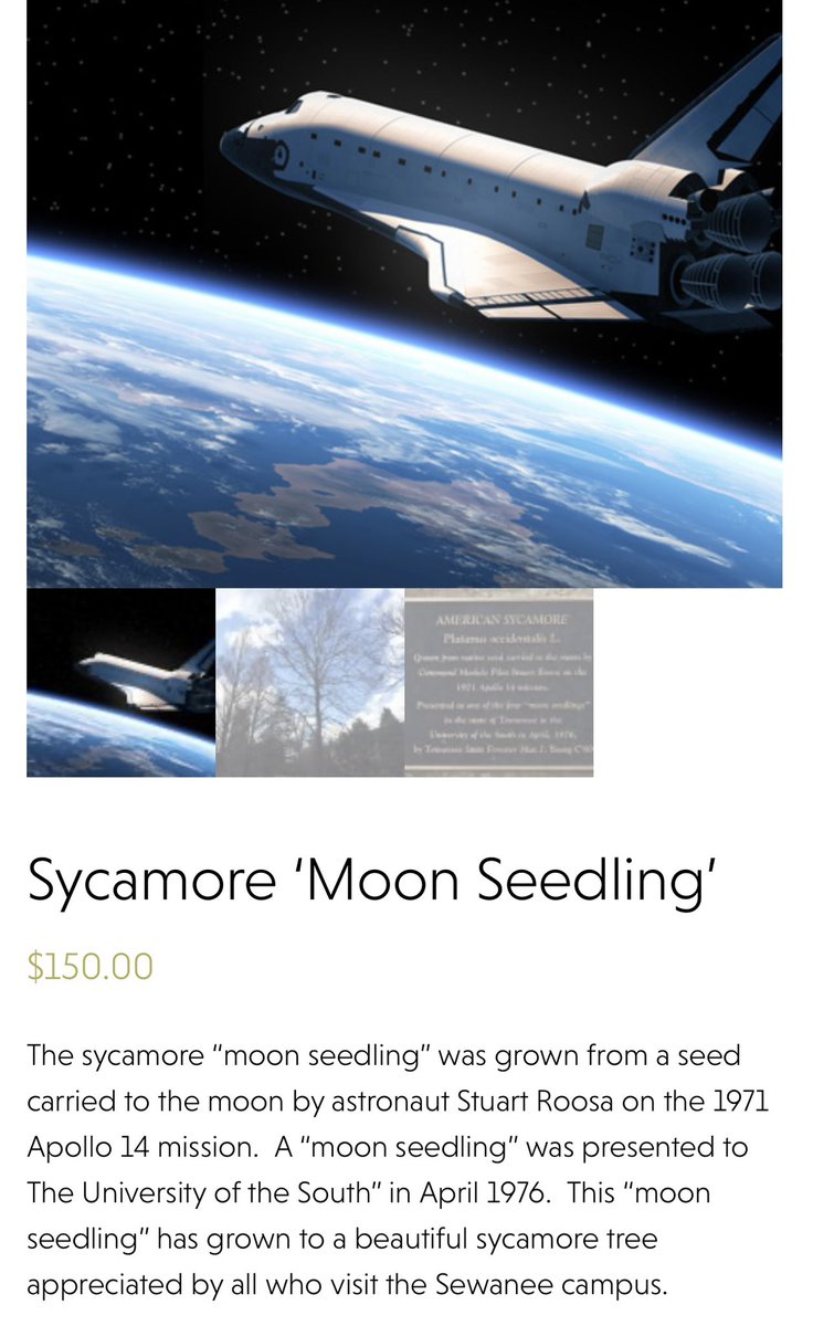 McClellandShane's tweet image. Just discovered a website where you can buy trees from the properties of historical people.

Like Washington, Mark Twain, Thoreau, and SPACE?! (And a bunch of others)

I desperately need like hundreds of acres and probably several million dollars for plants 😂
