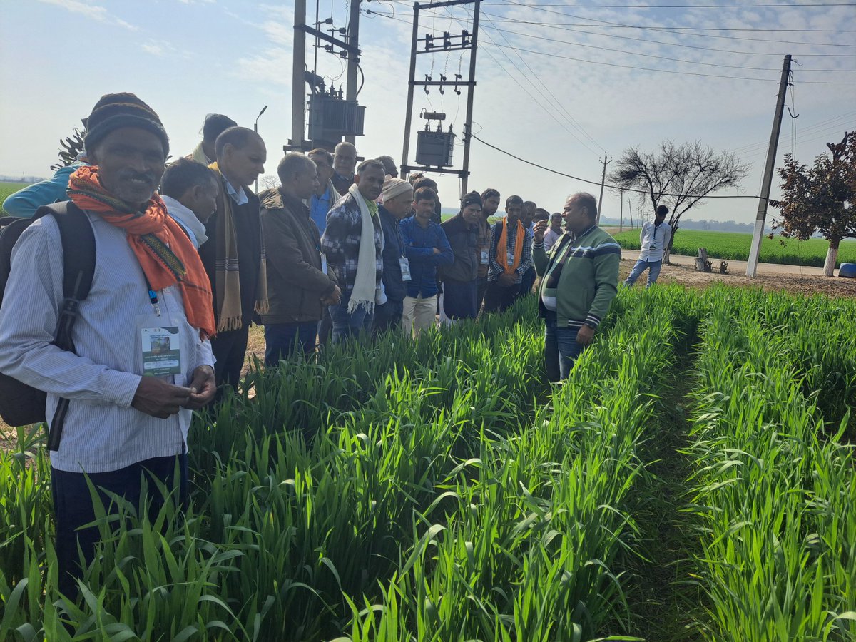Manuvis008's tweet image. Another batch of 40 progressive farmers from 4 districts of Bihar participated in 4 day's #CapacityBuildingProgram on #ClimateResilientAgriculture at @BISA__India , Ludhiana, Punjab.
@CIMMYT @icarindia @BametiBihar @Agribih
