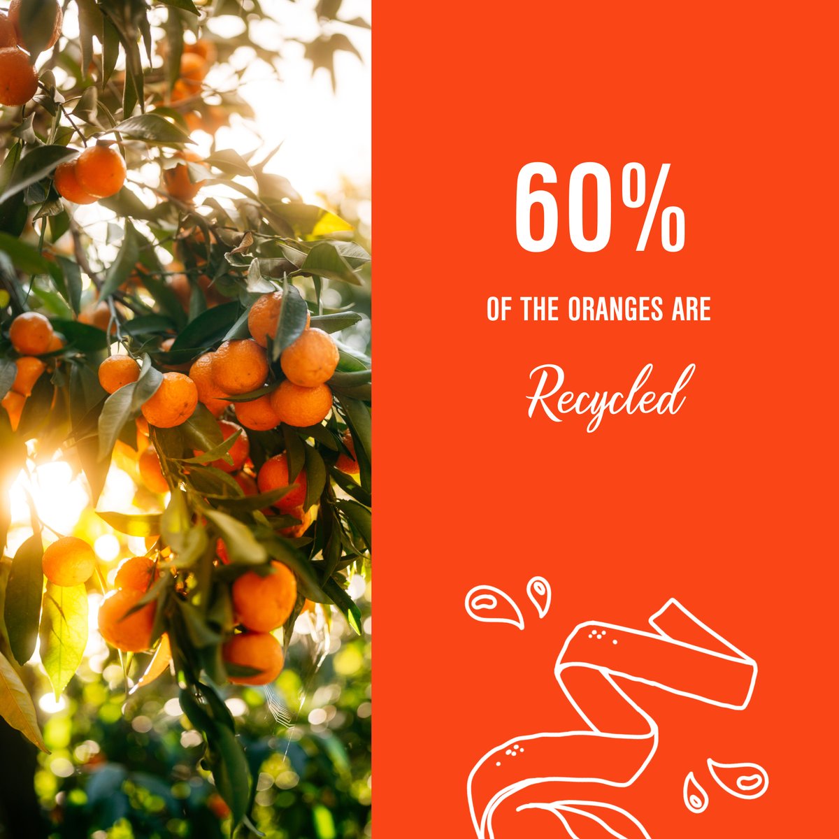 Every orange deserves a second life! 🍊♻️ In fact, at the Angers Distillery, our bitter and sweet oranges are never wasted. 

See below how they live on after the Cointreau production process.
bit.ly/3SqdGEJ

#Cointreau #sustainability #recycle #cocktails