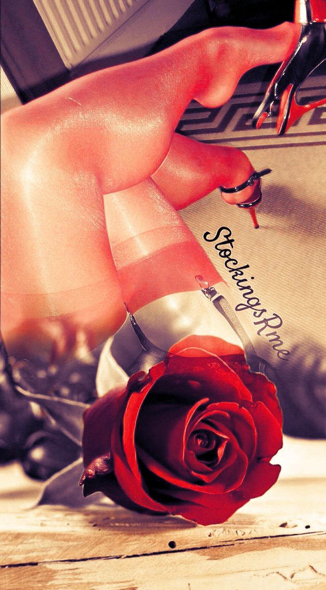 <a href="/StockingsRme/">Stockings R Me</a> Edit a Red Rose 🌹