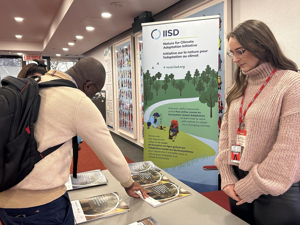 IISD Resilience tweet media