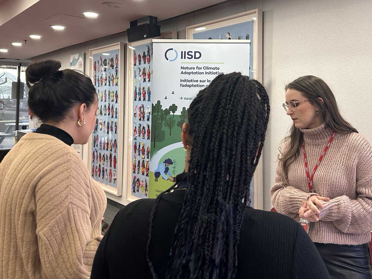 IISD Resilience tweet media