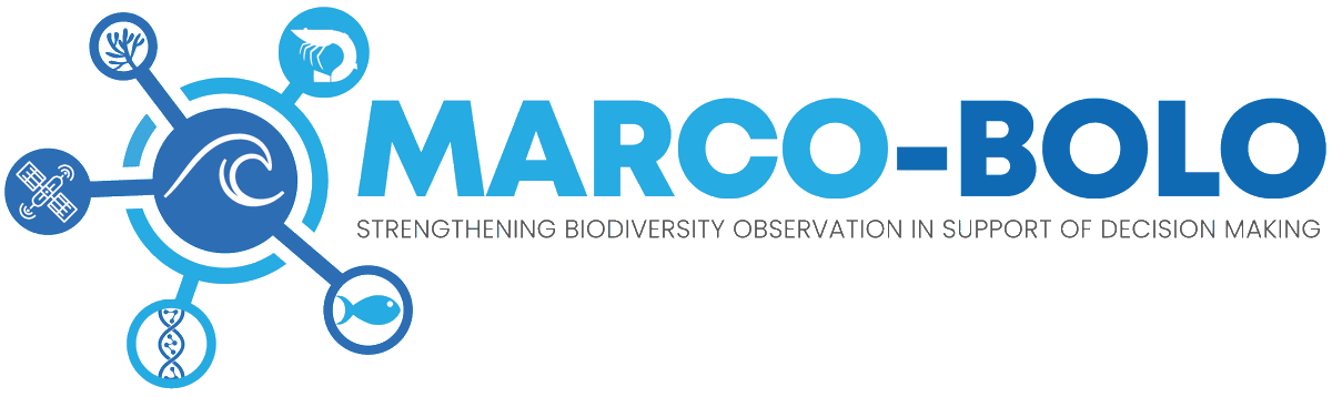 IODEocean's tweet photo. Looking for a Individual consultant ‘Stakeholder Engagement and Community Integration’ for the Marco Bolo project info: https://t.co/DwyPDPMcIP
deadline to apply: 23 February 2024 https://t.co/AR2XjH3ood