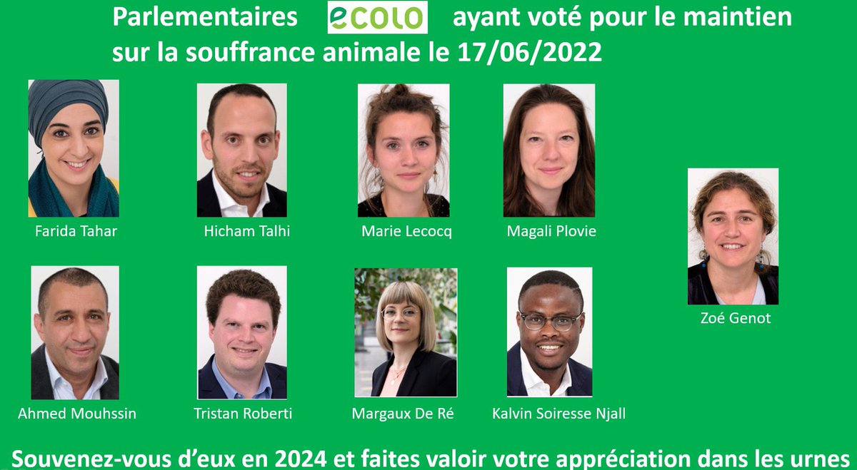 AnneCremer2's tweet image. Comment peut-on être Ecolo, et voter pour l'égorgement à vif des animaux ⁉️