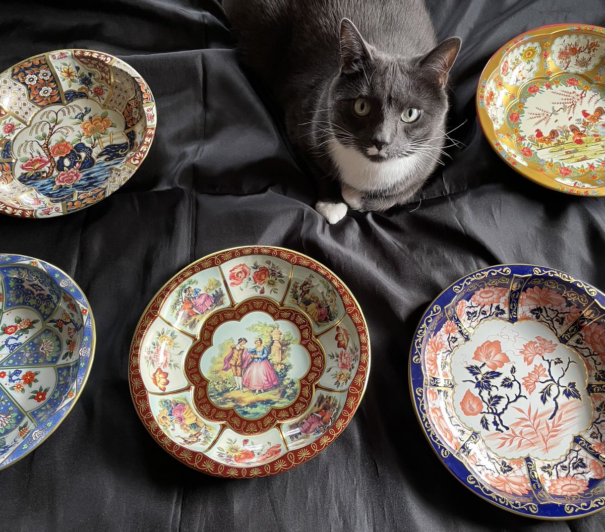 runswstilettos's tweet photo. Per usual, Thomas helps with staging antiques for my #Etsy shop. #cat #cats #catshelping #catmom #tuxedocats #antiques #etsyshop #etsyseller #smallbusiness #thrifting #vintage #rarebooks #gifts #asianart #jewelry #porcelain ⁦@LindseySlaterTV⁩ https://t.co/V5xpmH7Jsb