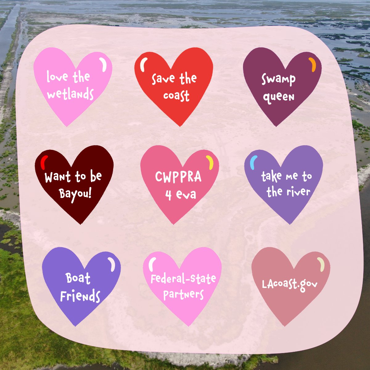 cwppra's tweet photo. We are full of love for the wetlands today! 💜❤️🩷 https://t.co/R0rXFlhNH6