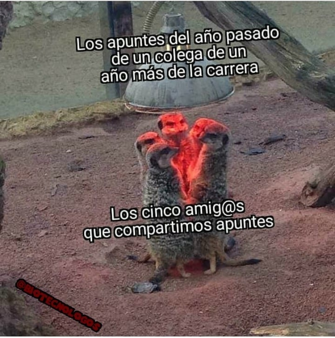 Biotecnomemes (@biotecnomemes) on Twitter photo 