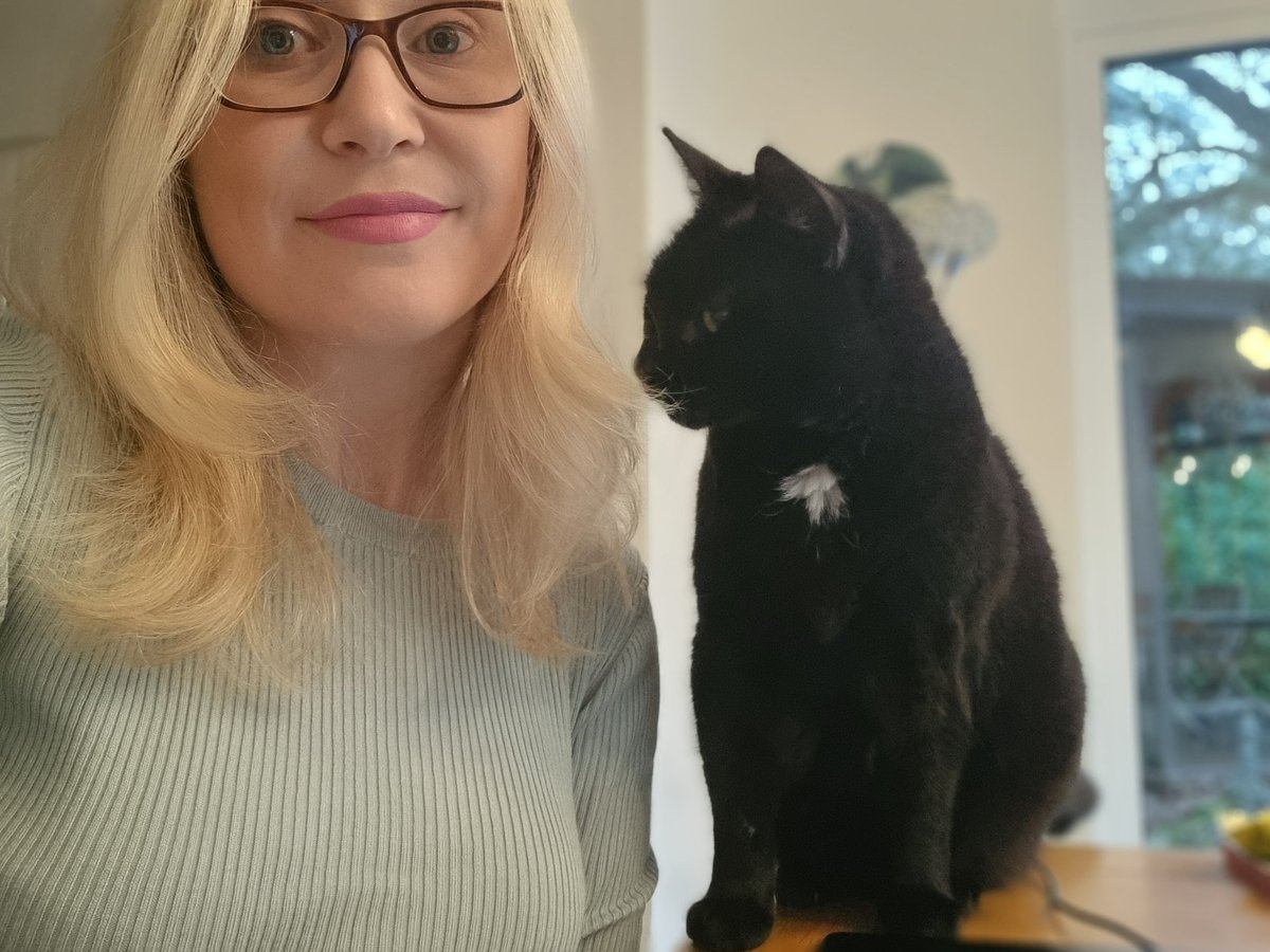 Thought I'd work in a different part of the house to change things up. All this has done is result in the cats using a rotation system to assess why I'm not where I usually am. They have interrupted 100% of meetings.