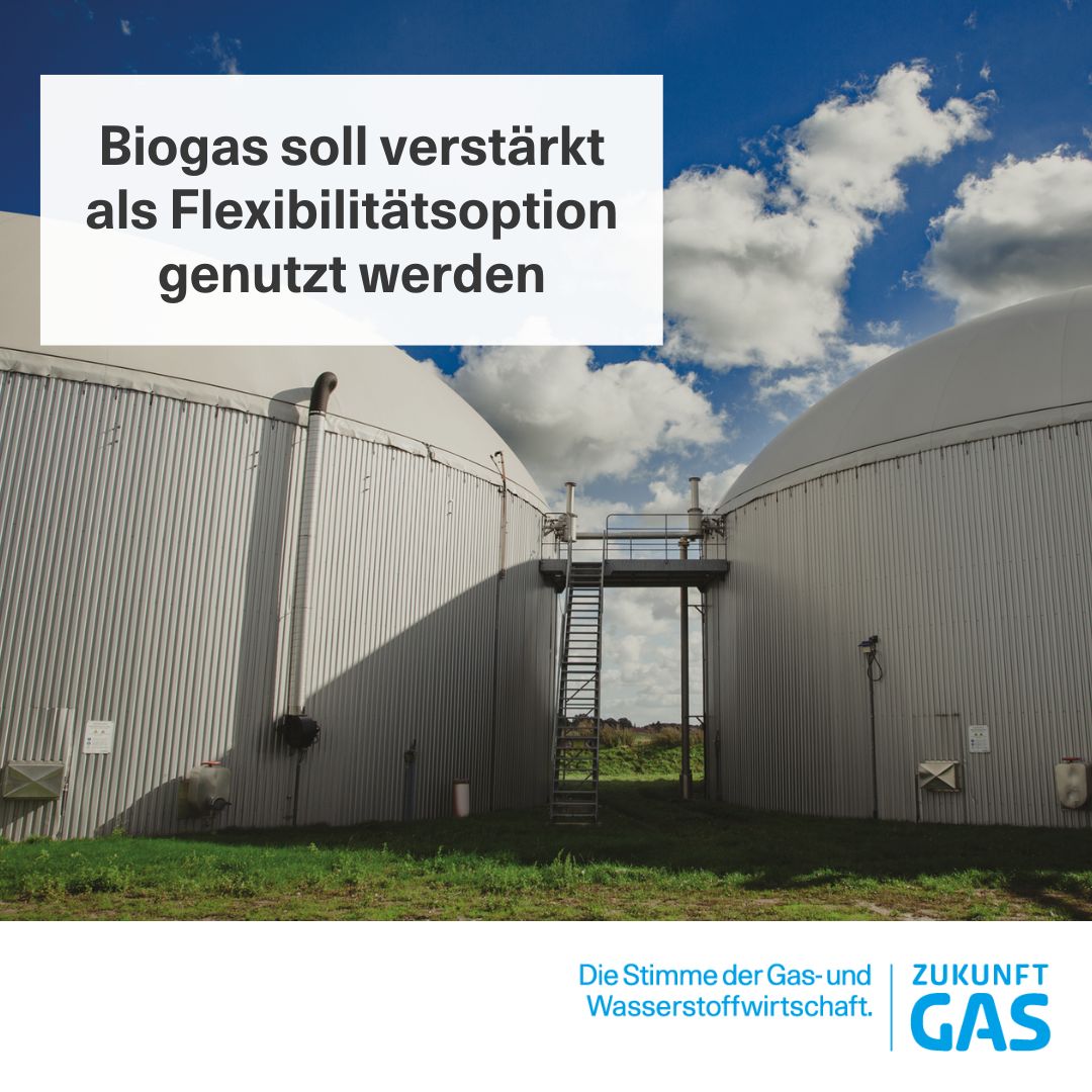 Laut dem aktuellen Entwurf der Nationalen Biomassestrategie soll Biogas verstärkt als Flexibilitätsoption genutzt werden, um die Erzeugung von Strom aus Wind und Solar auszugleichen. Dafür will die Regierung bestehende Flexibilitätsanreize stärken.#zukunftgas #biogas #neuegase