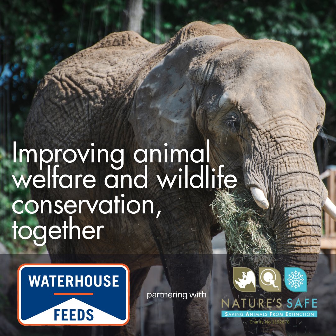 Waterhouse Feeds, a leading provider of specialized nutrition for zoo animals, have pledged £5.00 for every tonne of feed sold to be donated to Nature’s SAFE. Together we can make meaningful strides towards creating a healthier, more sustainable future for wildlife.