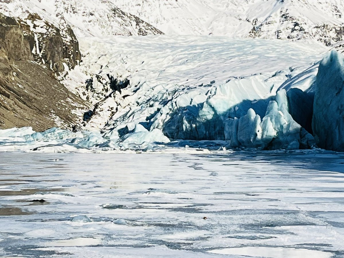 RGS Geography tweet media