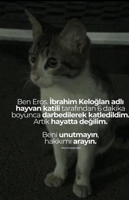 Arkadaşlar
hayvan severler için dev bir takip zinciri başlatalım.Bu twiti beğenin, rtleyin yoruma EROS yazın.Lütfen artık birleşelim!

#YerelSeçimFelaketinizOlacak Mehdi Tarkan Fırat Nehri Katilin Adı Kahpe Saldıray Berk #erzincanilic  
Behzat Ç Sisi İBRAHİM KELOĞLAN Ümit Özdağ