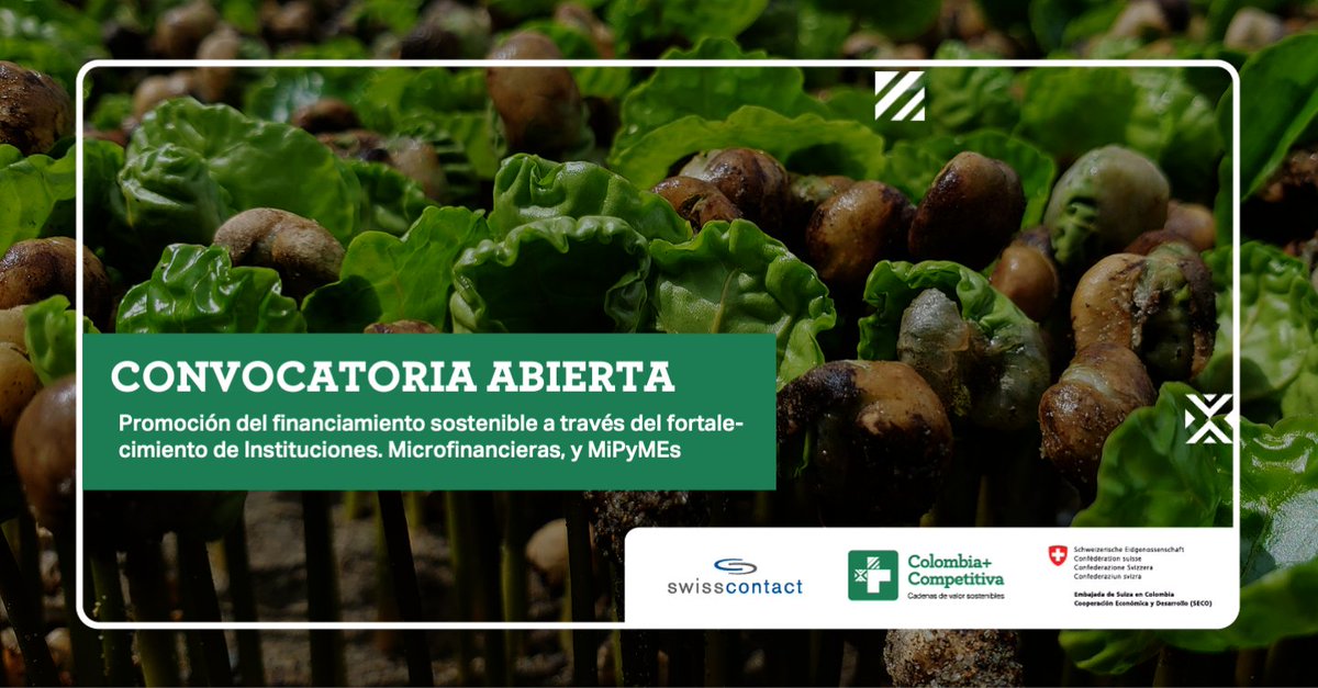 colombiamascom1's tweet photo. #ConvocatoriaAbierta

🗣️Buscamos una firma que apoye el fortalecimiento de capacidades de Instituciones Microfinancieras para promover el financiamiento sostenible💚de las micro y pequeñas empresas.

🗓️Fecha limite de postulación: 28.02.24

📩Info aquí: https://t.co/1uCsFpQ9nt https://t.co/O46CE1il9e