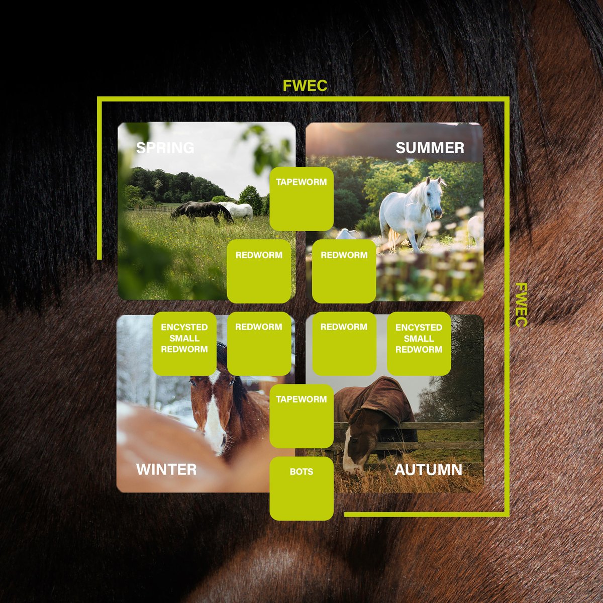 Farm & Country tweet media
