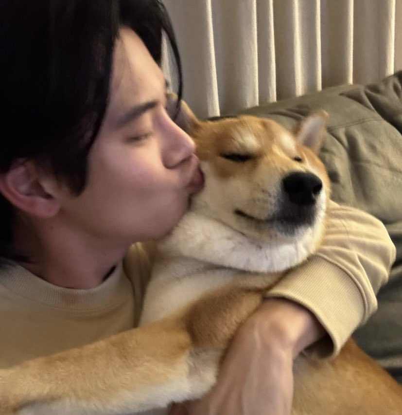 เ ปิ ด ว อ ร์ 🥑 tweet media