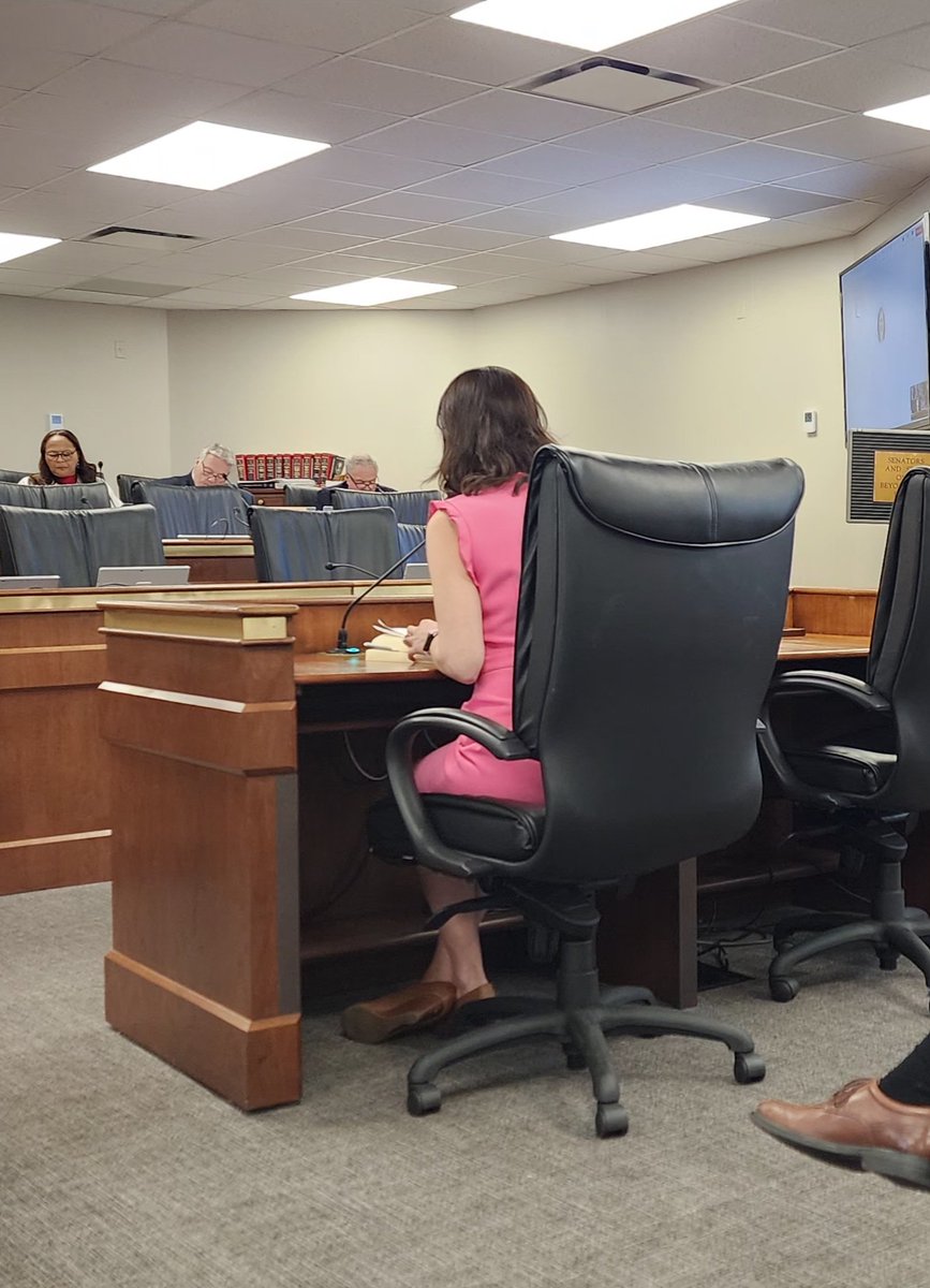 colleencondon's tweet photo. Dr. Elizabeth Mack is rocking the cross-examination by Sen Cash and Sen Garrett in SC Senate Medical Affairs. #affa #scunited #lgbtq https://t.co/wUWSeBkp38