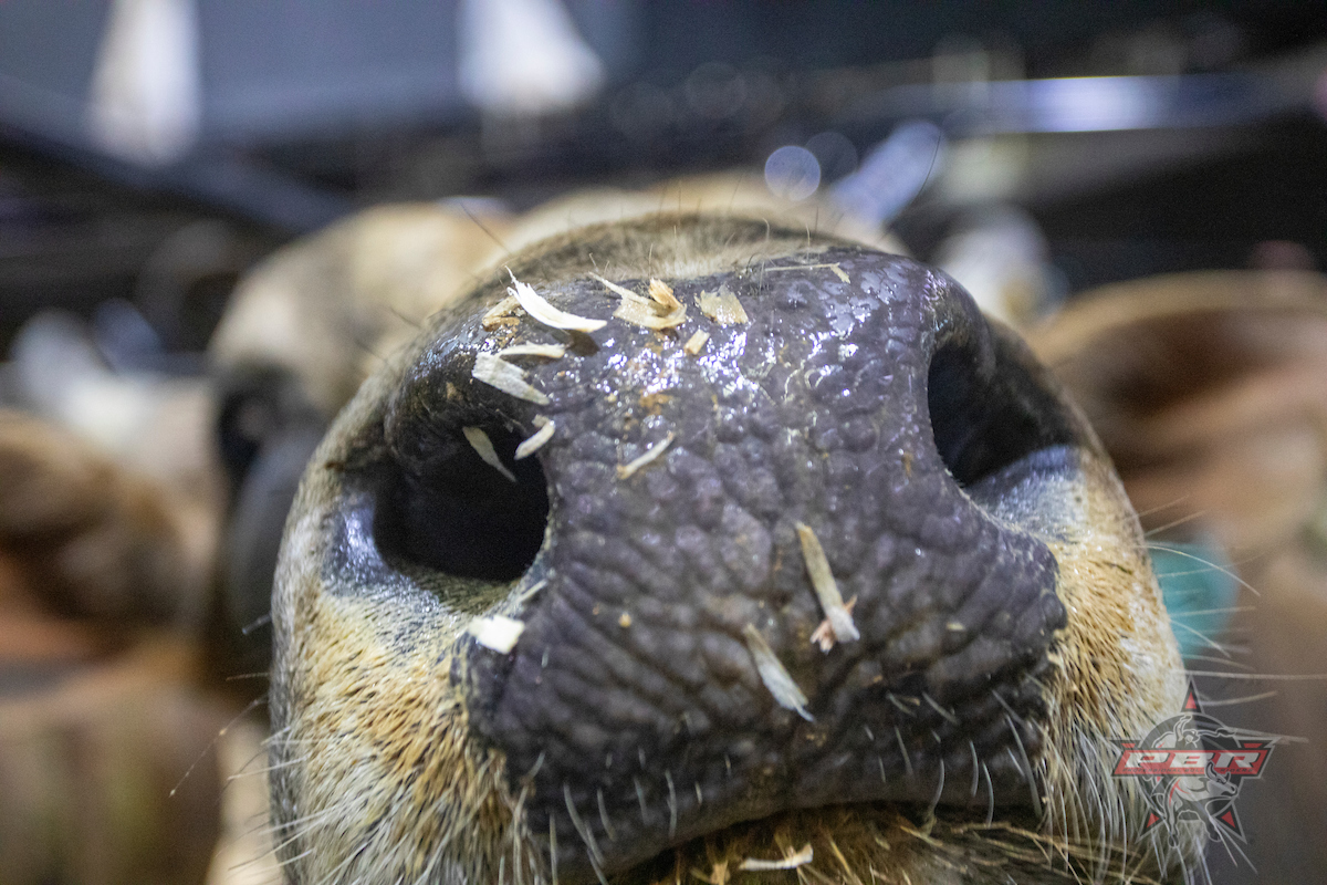 𝓗𝓪𝓹𝓹𝔂 𝓥𝓪𝓵𝓮𝓷𝓽𝓲𝓷𝓮'𝓼 𝓓𝓪𝔂 💋

Photo by <a href="/BullStockMedia/">Bull Stock Media</a> / <a href="/andresilvaphoto/">Andre Silva</a>